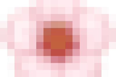 THÔNG BÁO NGHỈ TẾT DƯƠNG LỊCH 2026